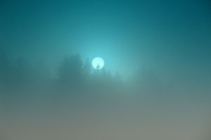 Solsiluett i blågrön dimma